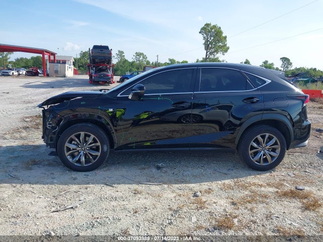 2020 Lexus NX, VIN: JTJJARBZ8L5003038