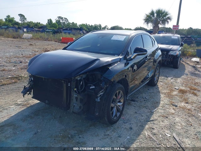2020 Lexus NX, VIN: JTJJARBZ8L5003038