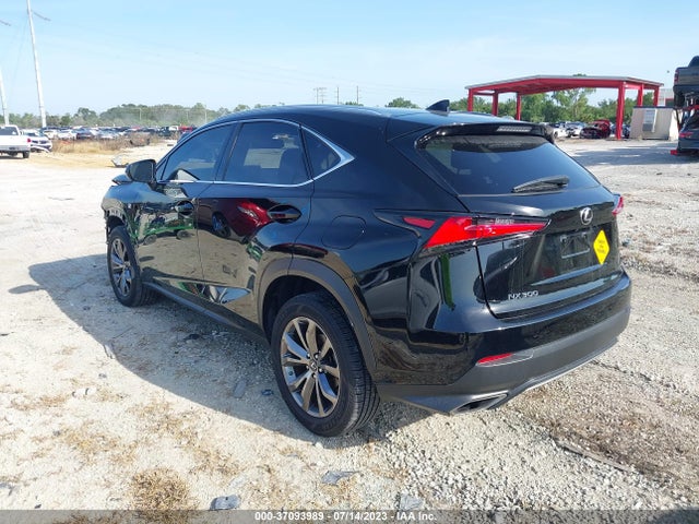 2020 Lexus NX, VIN: JTJJARBZ8L5003038