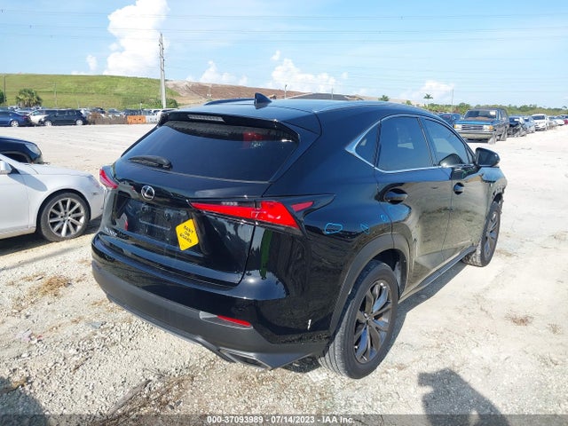 2020 Lexus NX, VIN: JTJJARBZ8L5003038