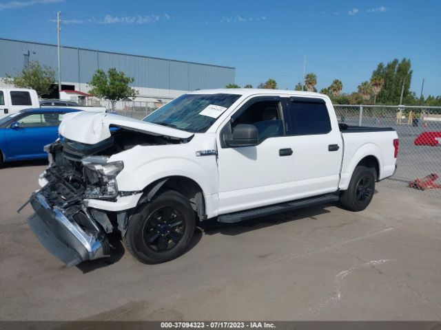 1FTEW1CB1JKC87359 Ford F-150 Xl/xlt