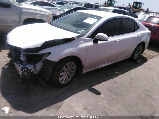 2020 TOYOTA CAMRY LE VIN: 4T1C11AK7LU988239