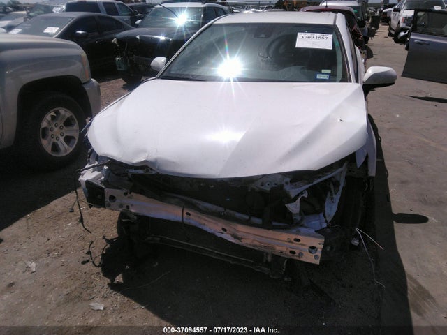 2020 TOYOTA CAMRY LE VIN: 4T1C11AK7LU988239