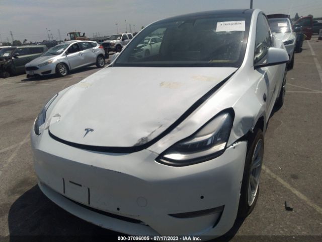 5YJYGDEE4LF016749 Tesla Model Y Long Range