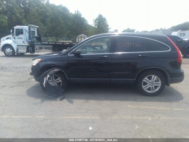 2010 HONDA CR-V EX-L VIN: JHLRE4H71AC012856