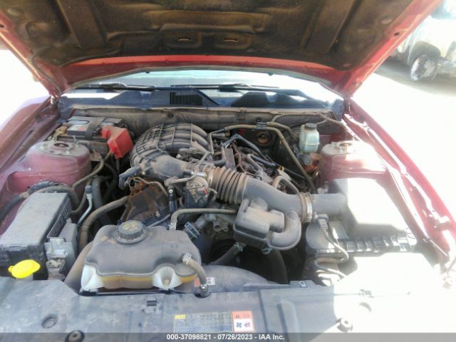 1ZVBP8AM0E5314033 Ford Mustang V6