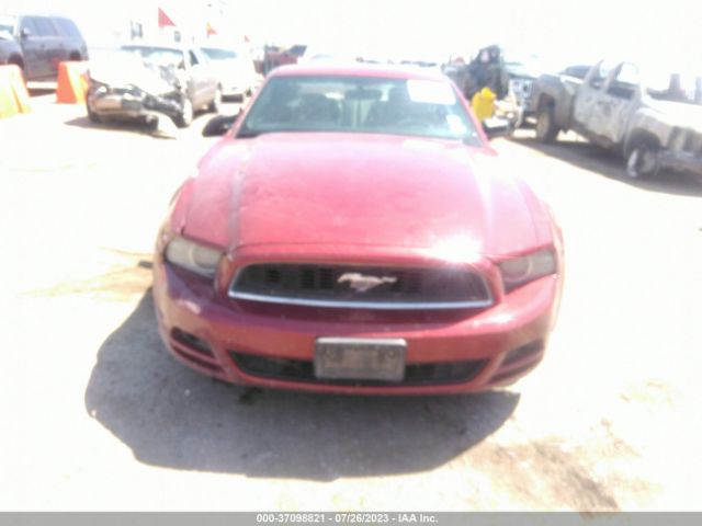 1ZVBP8AM0E5314033 Ford Mustang V6