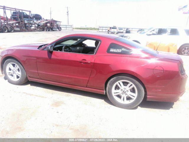 1ZVBP8AM0E5314033 Ford Mustang V6