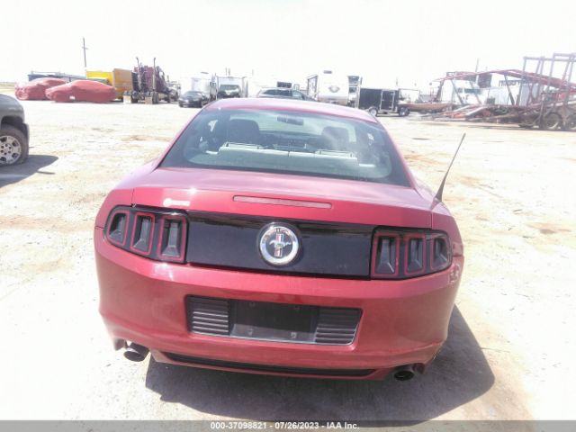 1ZVBP8AM0E5314033 Ford Mustang V6