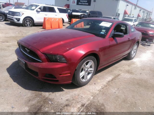1ZVBP8AM0E5314033 Ford Mustang V6