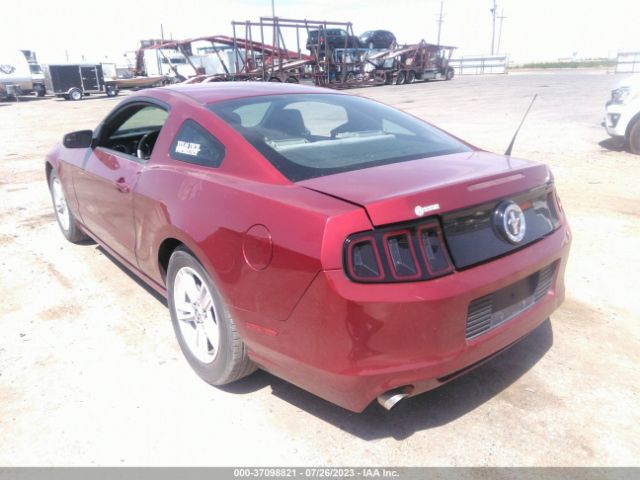 1ZVBP8AM0E5314033 Ford Mustang V6