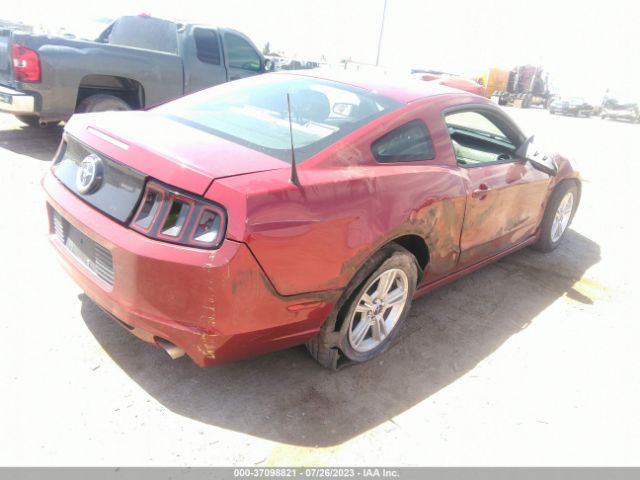 1ZVBP8AM0E5314033 Ford Mustang V6