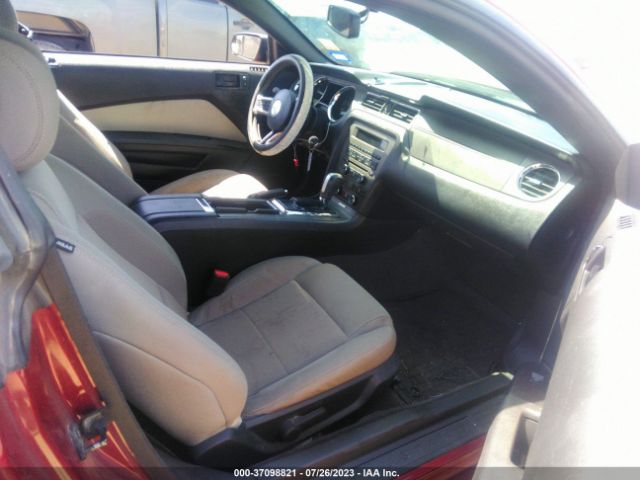 1ZVBP8AM0E5314033 Ford Mustang V6