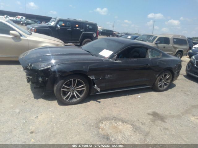 1FA6P8AM4F5346639 Ford Mustang V6