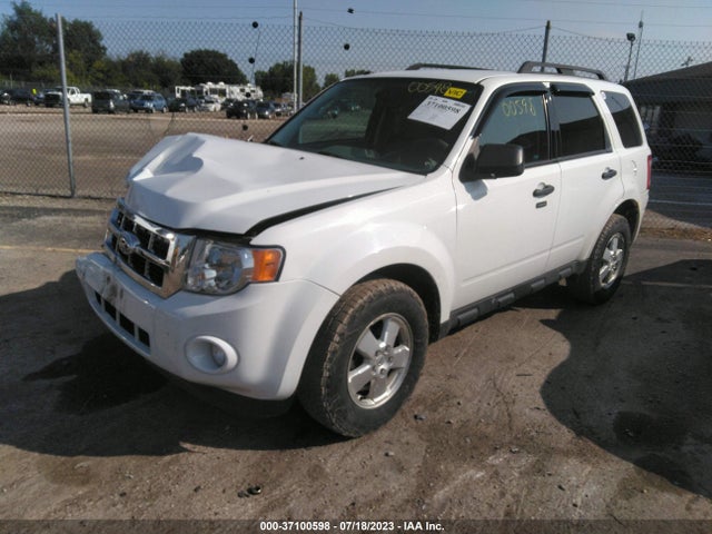 2012 FORD ESCAPE XLT VIN: 1FMCU0D71CKA66134