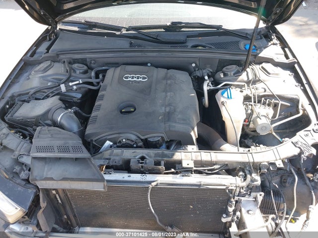 WAUFFAFLXGN011372 Audi A4 Premium Plus
