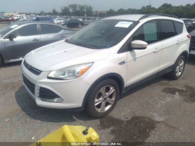 1FMCU0GX1FUB68425 Ford ESCAPE SE