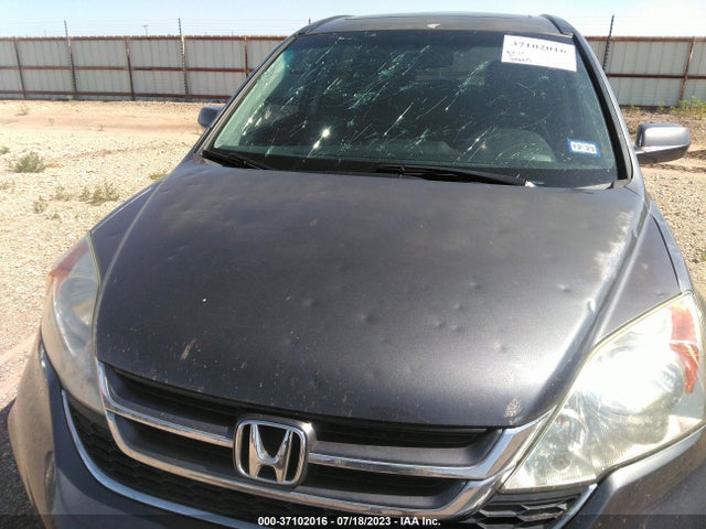 2010 HONDA CR-V EX-L VIN: 5J6RE3H73AL046542