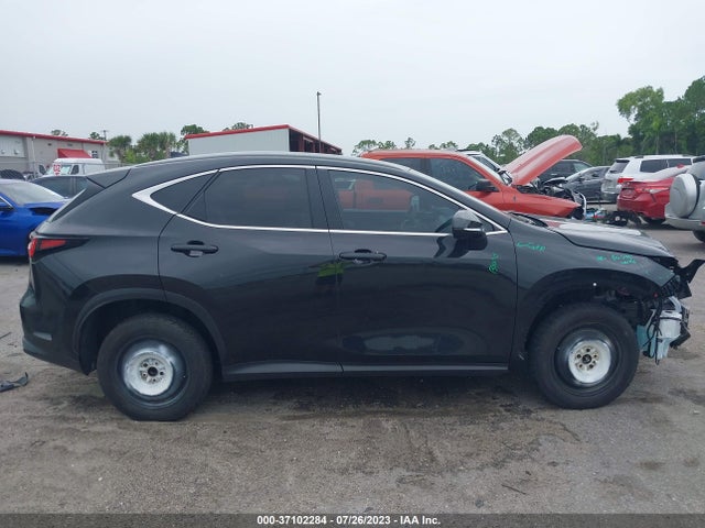 2022 Lexus NX, VIN: 2T2ADCAZ7NC001341