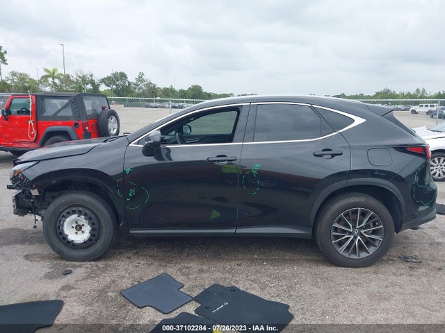 2022 Lexus NX, VIN: 2T2ADCAZ7NC001341