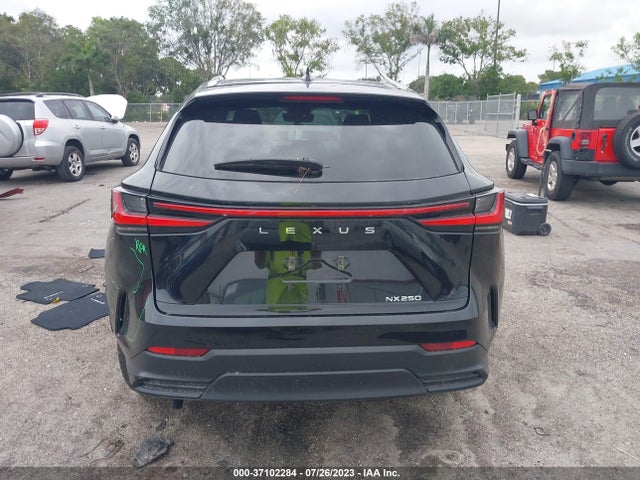 2022 Lexus NX, VIN: 2T2ADCAZ7NC001341