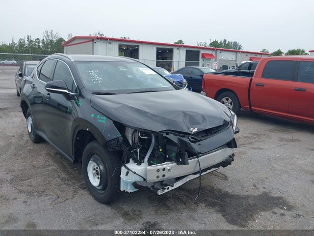 2022 Lexus NX, VIN: 2T2ADCAZ7NC001341