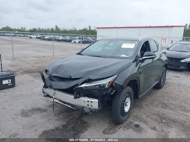 2022 Lexus NX, VIN: 2T2ADCAZ7NC001341