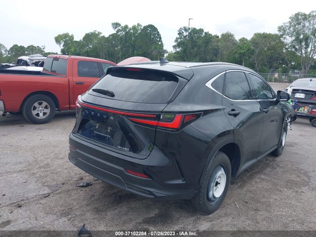 2022 Lexus NX, VIN: 2T2ADCAZ7NC001341