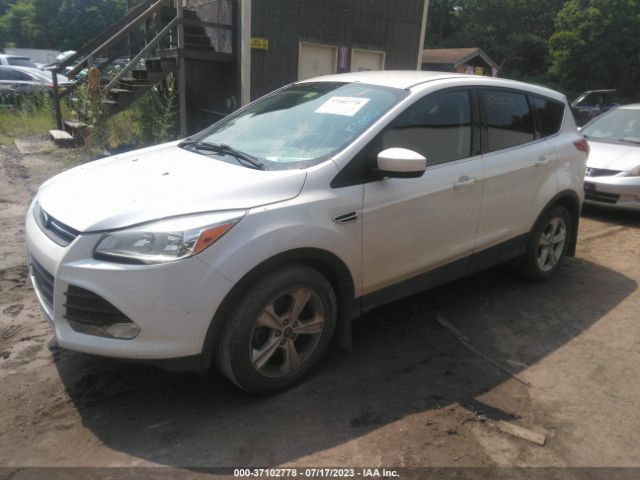 1FMCU9G94EUD90736 Ford ESCAPE SE
