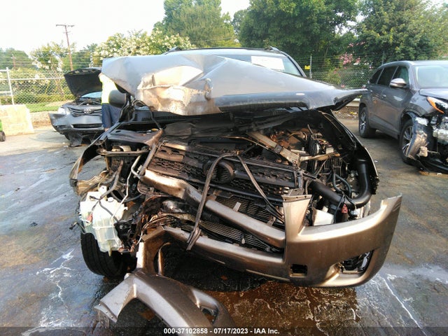 2010 TOYOTA RAV4 VIN: JTMBF4DV3A5018727