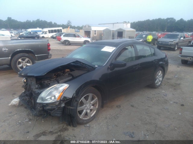 2004 NISSAN MAXIMA SL VIN: 1N4BA41E04C862295