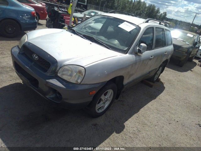2004 HYUNDAI SANTA FE VIN: KM8SB12B84U655301