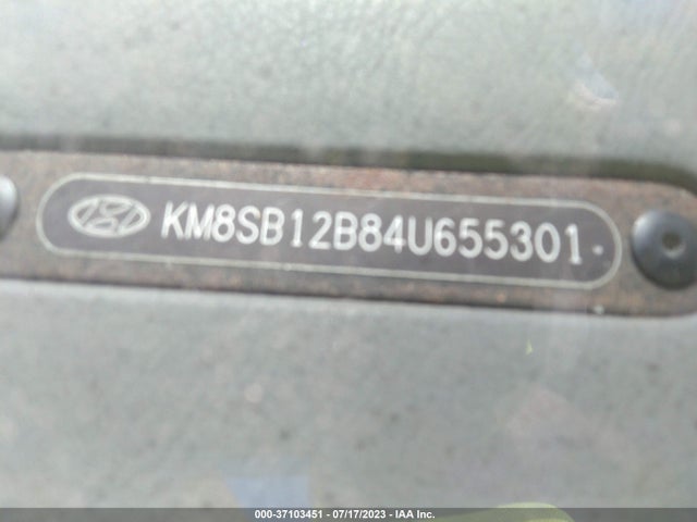 2004 HYUNDAI SANTA FE VIN: KM8SB12B84U655301