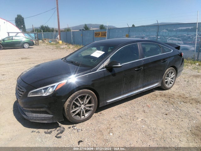 Hyundai Sonata Sport 2017 5NPE34AB2HH556815 Image 2