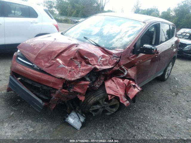 1FMCU0G7XGUB57005 Ford ESCAPE SE