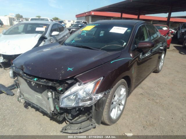 1N4AA5AP3EC452255 Nissan Maxima 3.5 S
