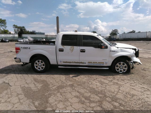 1FTFW1ET3EFA89147 Ford F-150 Xl/xlt/fx4/lariat