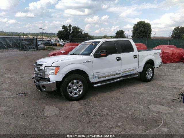 1FTFW1ET3EFA89147 Ford F-150 Xl/xlt/fx4/lariat