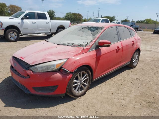 1FADP3K21GL255462 Ford FOCUS SE