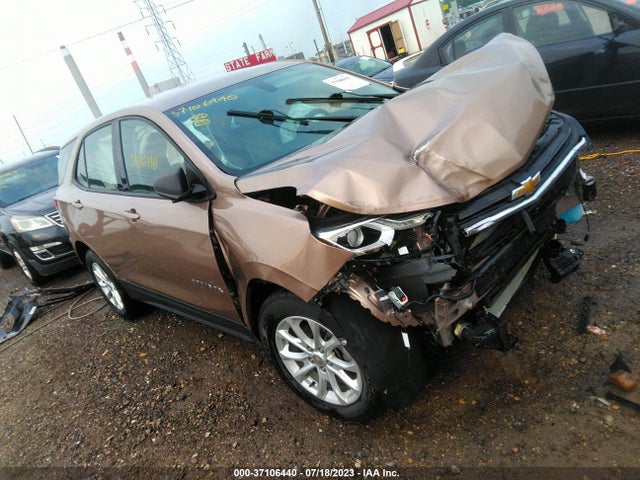 Chevrolet EQUINOX LS 2019 2GNAXHEV5K6249107 Image 1