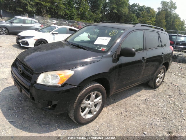 2011 TOYOTA RAV4 VIN: 2T3BF4DV5BW110397