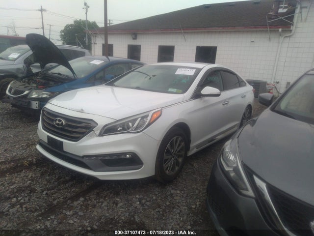 2016 HYUNDAI SONATA 2.4L SPORT VIN: 5NPE34AF3GH290691
