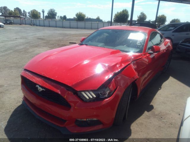 1FA6P8AM0G5209568 Ford Mustang V6