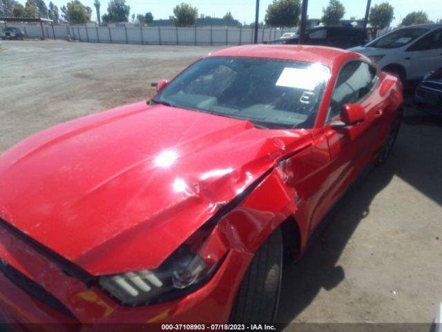 1FA6P8AM0G5209568 Ford Mustang V6