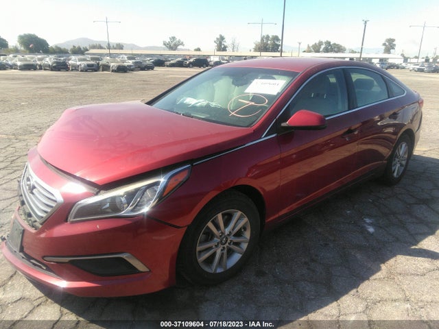 Hyundai Sonata 2.4l Se 2016 5NPE24AF0GH341843 Image 2