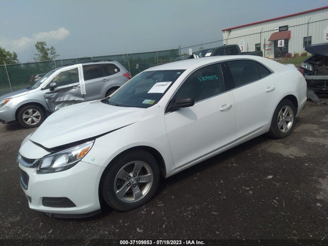 2014 CHEVROLET MALIBU VIN: 1G11B5SL6EF302568