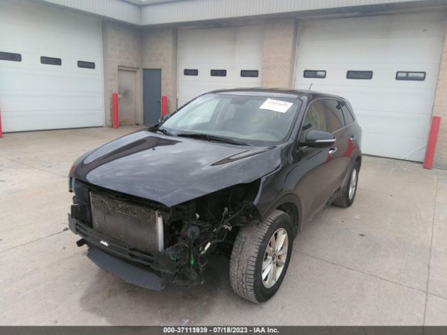5XYPG4A5XKG486888 KIA Sorento Lx V6