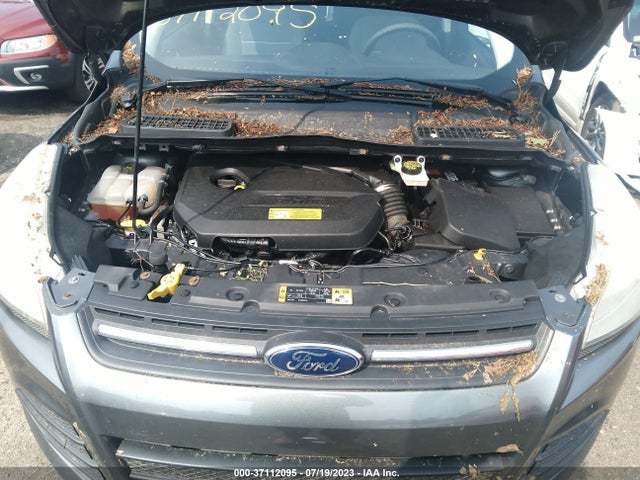 2014 FORD ESCAPE SE VIN: 1FMCU0GX0EUA58593