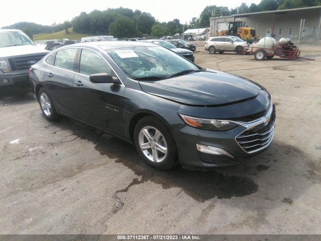 2019 1G1ZB5ST4KF158145 main image