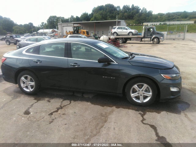Chevrolet Malibu 1ls 2019 1G1ZB5ST4KF158145 Image 13